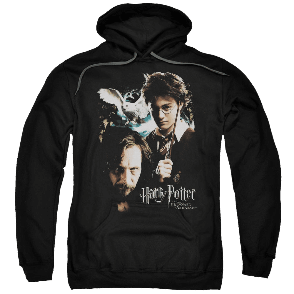 Harry Potter Harry And Sirius Pullover Hoodie