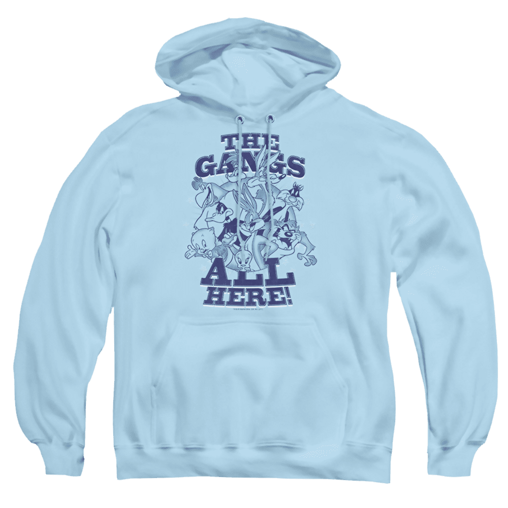 Looney Tunes Blue Gang – Pullover Hoodie