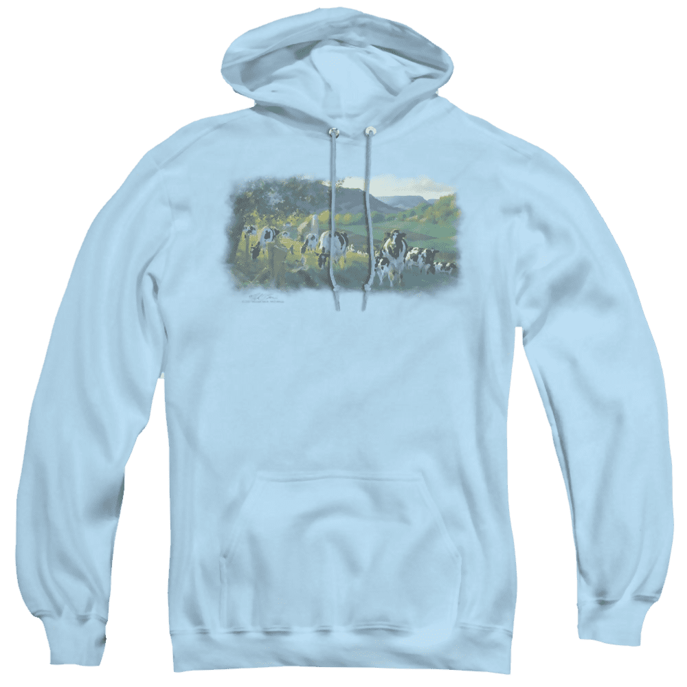 Wild Wings Gods Country – Pullover Hoodie